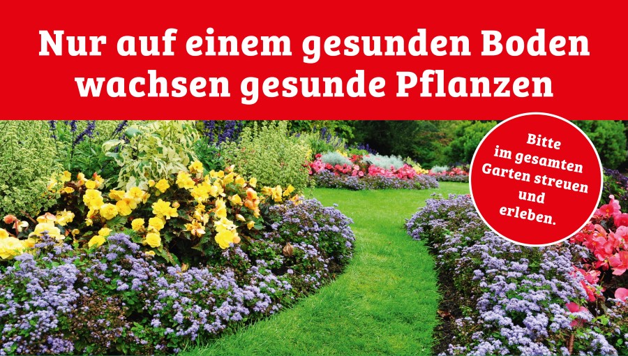 newsimgupload/Gesunder Boden, gesunde Pflanzen.jpg